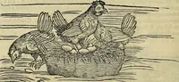 An illustration from Petri Andreae Matthioli Senensis serenissimi Principis Ferdinandi Archiducis Austriae & c., Medici, Commentarii secundo aucti : in libros sex Pedacii Dioscoridis Anazarbei de medica materia. Adiectis quàm plurimis plantarum, & animalium imaginibus quae in priore editione non habentur, eodem authore : his accessit eiusdem apologia adversus Amathum Lusitanum cum censura in eiusdem enarrationes (1558)