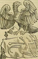 An illustration from Petri Andreae Matthioli Senensis serenissimi Principis Ferdinandi Archiducis Austriae & c., Medici, Commentarii secundo aucti : in libros sex Pedacii Dioscoridis Anazarbei de medica materia. Adiectis quàm plurimis plantarum, & animalium imaginibus quae in priore editione non habentur, eodem authore : his accessit eiusdem apologia adversus Amathum Lusitanum cum censura in eiusdem enarrationes (1558)