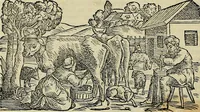Picture 191 of 711 from Petri Andreae Matthioli Senensis serenissimi Principis Ferdinandi Archiducis Austriae & c., Medici, Commentarii secundo aucti : in libros sex Pedacii Dioscoridis Anazarbei de medica materia. Adiectis quàm plurimis plantarum, & animalium imaginibus quae in priore editione non habentur, eodem authore : his accessit eiusdem apologia adversus Amathum Lusitanum cum censura in eiusdem enarrationes (1558), leaf 333