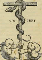An illustration from Petri Andreae Matthioli Senensis serenissimi Principis Ferdinandi Archiducis Austriae & c., Medici, Commentarii secundo aucti : in libros sex Pedacii Dioscoridis Anazarbei de medica materia. Adiectis quàm plurimis plantarum, & animalium imaginibus quae in priore editione non habentur, eodem authore : his accessit eiusdem apologia adversus Amathum Lusitanum cum censura in eiusdem enarrationes (1558)