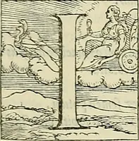 An illustration from Petri Andreae Matthioli Senensis serenissimi Principis Ferdinandi Archiducis Austriae & c., Medici, Commentarii secundo aucti : in libros sex Pedacii Dioscoridis Anazarbei de medica materia. Adiectis quàm plurimis plantarum, & animalium imaginibus quae in priore editione non habentur, eodem authore : his accessit eiusdem apologia adversus Amathum Lusitanum cum censura in eiusdem enarrationes (1558)