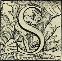 An illustration from Petri Andreae Matthioli Senensis serenissimi Principis Ferdinandi Archiducis Austriae & c., Medici, Commentarii secundo aucti : in libros sex Pedacii Dioscoridis Anazarbei de medica materia. Adiectis quàm plurimis plantarum, & animalium imaginibus quae in priore editione non habentur, eodem authore : his accessit eiusdem apologia adversus Amathum Lusitanum cum censura in eiusdem enarrationes (1558)
