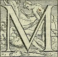An illustration from Petri Andreae Matthioli Senensis serenissimi Principis Ferdinandi Archiducis Austriae & c., Medici, Commentarii secundo aucti : in libros sex Pedacii Dioscoridis Anazarbei de medica materia. Adiectis quàm plurimis plantarum, & animalium imaginibus quae in priore editione non habentur, eodem authore : his accessit eiusdem apologia adversus Amathum Lusitanum cum censura in eiusdem enarrationes (1558)