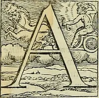 An illustration from Petri Andreae Matthioli Senensis serenissimi Principis Ferdinandi Archiducis Austriae & c., Medici, Commentarii secundo aucti : in libros sex Pedacii Dioscoridis Anazarbei de medica materia. Adiectis quàm plurimis plantarum, & animalium imaginibus quae in priore editione non habentur, eodem authore : his accessit eiusdem apologia adversus Amathum Lusitanum cum censura in eiusdem enarrationes (1558)