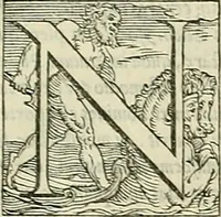 An illustration from Petri Andreae Matthioli Senensis serenissimi Principis Ferdinandi Archiducis Austriae & c., Medici, Commentarii secundo aucti : in libros sex Pedacii Dioscoridis Anazarbei de medica materia. Adiectis quàm plurimis plantarum, & animalium imaginibus quae in priore editione non habentur, eodem authore : his accessit eiusdem apologia adversus Amathum Lusitanum cum censura in eiusdem enarrationes (1558)