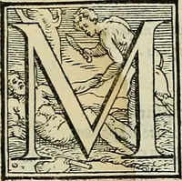 An illustration from Petri Andreae Matthioli Senensis serenissimi Principis Ferdinandi Archiducis Austriae & c., Medici, Commentarii secundo aucti : in libros sex Pedacii Dioscoridis Anazarbei de medica materia. Adiectis quàm plurimis plantarum, & animalium imaginibus quae in priore editione non habentur, eodem authore : his accessit eiusdem apologia adversus Amathum Lusitanum cum censura in eiusdem enarrationes (1558)
