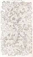 An illustration from Petri Andreae Matthioli senensis, medici, Compendium de plantis omnibus, vnà cum earum iconibus, de quibus scripsit suis in commentariis in Dioscoridem editis, in eorum studiosorum commodum, atque vsum; : qui plantis conquirendis, ac indagandis student : accessit praeterea ad calcem opusculum de itinere, quo è Verona in Baldum montem plantarum refertissimum itur; iisdem studiosis vtilissimum : Francisco Calceolario pharmacopaeo Veronensi auctore : quae quàm sint studiosae prosutura : ex epistolis in huiusce operis initio editis, facile patebit (1571)