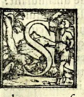 An illustration from Petri Angelii Bargaei Laudatio ad fvnebrem concionem quae Pisis habita est in exequiis Cosmi Medicis magni Hetruriae dvcis (1574)