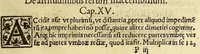 Picture 29 of 31 from Petri Apiani Cosmographia, (1539), leaf 123