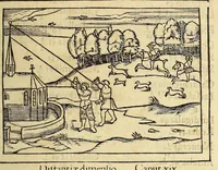 Picture 30 of 31 from Petri Apiani Cosmographia, (1539), leaf 125