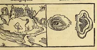 Picture 3 of 31 from Petri Apiani Cosmographia, (1539), leaf 13