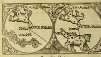 Picture 8 of 31 from Petri Apiani Cosmographia, (1539), leaf 30