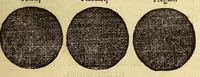 Picture 13 of 31 from Petri Apiani Cosmographia, (1539), leaf 35