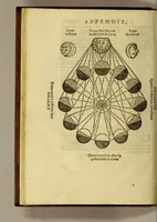 Picture 22 of 31 from Petri Apiani Cosmographia, (1539), leaf 98