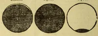 Picture 9 of 35 from Petri Apiani Cosmographia, (1540), leaf 34