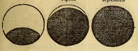 Picture 11 of 35 from Petri Apiani Cosmographia, (1540), leaf 35
