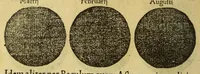 An illustration from Petri Apiani Cosmographia, (1540)