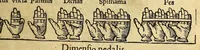 Picture 16 of 35 from Petri Apiani Cosmographia, (1540), leaf 39