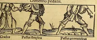 Picture 17 of 35 from Petri Apiani Cosmographia, (1540), leaf 39