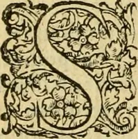 Picture 136 of 182 from Petri Bellonii Cenomani De aquatilibus, libri duo cum [epsilon, iota] conibus ad viuam ipsorum effigiem, quoad eius fieri potuit, expressis .. (1553), leaf 367