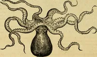 An illustration from Petri Bellonii Cenomani De aquatilibus, libri duo cum [epsilon, iota] conibus ad viuam ipsorum effigiem, quoad eius fieri potuit, expressis .. (1553)