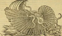 An illustration from Petri Bellonii Cenomani De aquatilibus, libri duo cum [epsilon, iota] conibus ad viuam ipsorum effigiem, quoad eius fieri potuit, expressis .. (1553)