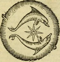 Picture 7 of 182 from Petri Bellonii Cenomani De aquatilibus, libri duo cum [epsilon, iota] conibus ad viuam ipsorum effigiem, quoad eius fieri potuit, expressis .. (1553), leaf 50