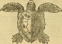 Picture 27 of 182 from Petri Bellonii Cenomani De aquatilibus, libri duo cum [epsilon, iota] conibus ad viuam ipsorum effigiem, quoad eius fieri potuit, expressis .. (1553), leaf 91