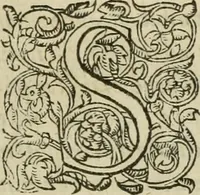 An illustration from Petri Costalii Pegma : cum narrationibus philosophicis (1555)