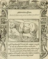 An illustration from Petri Costalii Pegma : cum narrationibus philosophicis (1555)