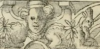 An illustration from Petri Costalii Pegma : cum narrationibus philosophicis (1555)
