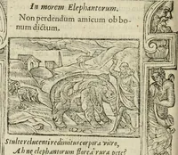An illustration from Petri Costalii Pegma : cum narrationibus philosophicis (1555)