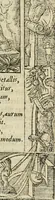 An illustration from Petri Costalii Pegma : cum narrationibus philosophicis (1555)