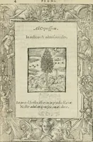 An illustration from Petri Costalii Pegma : cum narrationibus philosophicis (1555)