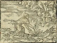 An illustration from Petri Costalii Pegma : cum narrationibus philosophicis (1555)