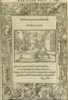 An illustration from Petri Costalii Pegma : cum narrationibus philosophicis (1555)