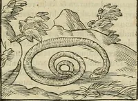 An illustration from Petri Costalii Pegma : cum narrationibus philosophicis (1555)