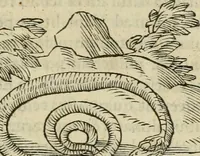 An illustration from Petri Costalii Pegma : cum narrationibus philosophicis (1555)