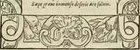 An illustration from Petri Costalii Pegma : cum narrationibus philosophicis (1555)