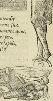 An illustration from Petri Costalii Pegma : cum narrationibus philosophicis (1555)