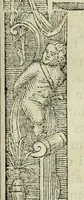 An illustration from Petri Costalii Pegma : cum narrationibus philosophicis (1555)