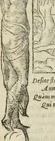 An illustration from Petri Costalii Pegma : cum narrationibus philosophicis (1555)
