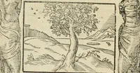 An illustration from Petri Costalii Pegma : cum narrationibus philosophicis (1555)
