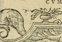 An illustration from Petri Costalii Pegma : cum narrationibus philosophicis (1555)