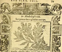 An illustration from Petri Costalij Pegma, : cum narrationibus philosophicis (1555)