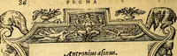 An illustration from Petri Costalij Pegma, : cum narrationibus philosophicis (1555)