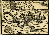 An illustration from Petri Costalij Pegma, : cum narrationibus philosophicis (1555)