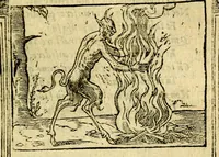 An illustration from Petri Costalij Pegma, : cum narrationibus philosophicis (1555)