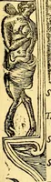 An illustration from Petri Costalij Pegma, : cum narrationibus philosophicis (1555)