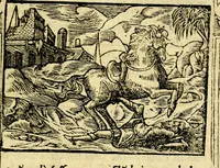 An illustration from Petri Costalij Pegma, : cum narrationibus philosophicis (1555)